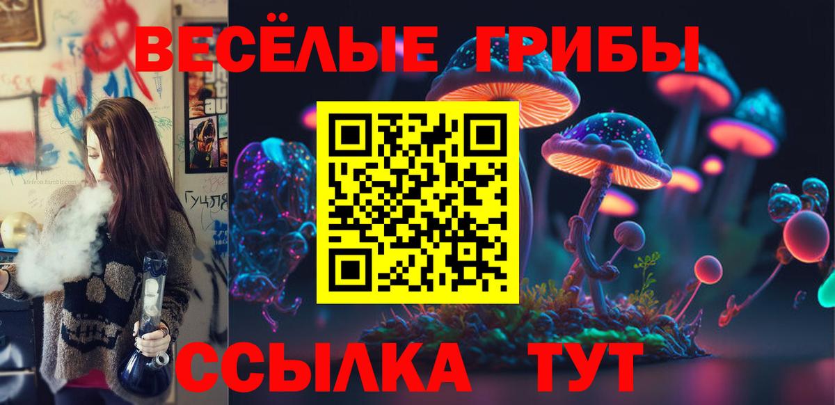 Кумертау  Галлюциногенные грибы прущие грибы  Галлюциногенные грибы ЛСД  Вход с VPN 